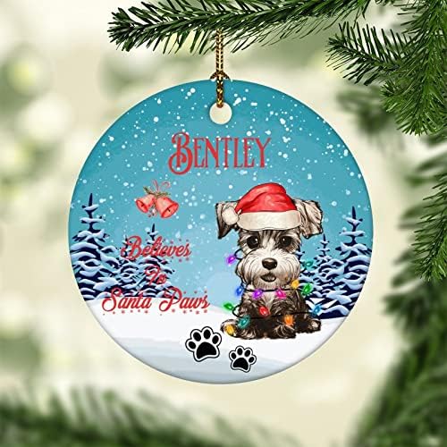 Personalizirani pseći Ornament, Doggy Božićni Ornament, vjeruje u Santa Paws, prilagođeni Doggy Ornament za