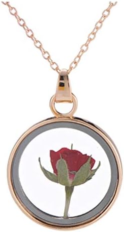Ogrlica od sušenog cvijeća Holibanna ručna ogrlica ručno izrađena real suhe ruža cvjetna privjesak
