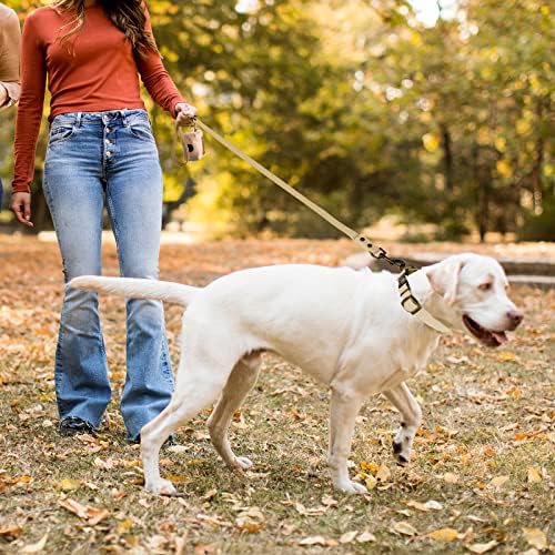 Wedeog ovratnik za pse i povodac kombinirani: podesivi trajni ovratnici za kućne ljubimce sa